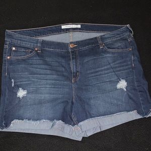 New! Plus size shorts size 22